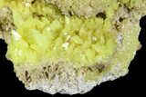 3.2" Sulfur Crystals on Matrix - Steamboat Springs, Nevada - #174210-1